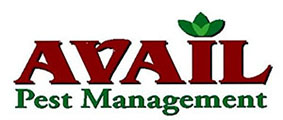 Avail Pest Management logo.